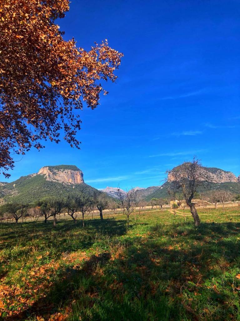 Son Ribes Vila Alaró Exterior foto